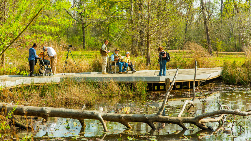 Houston Arboretum & Nature Center, United States